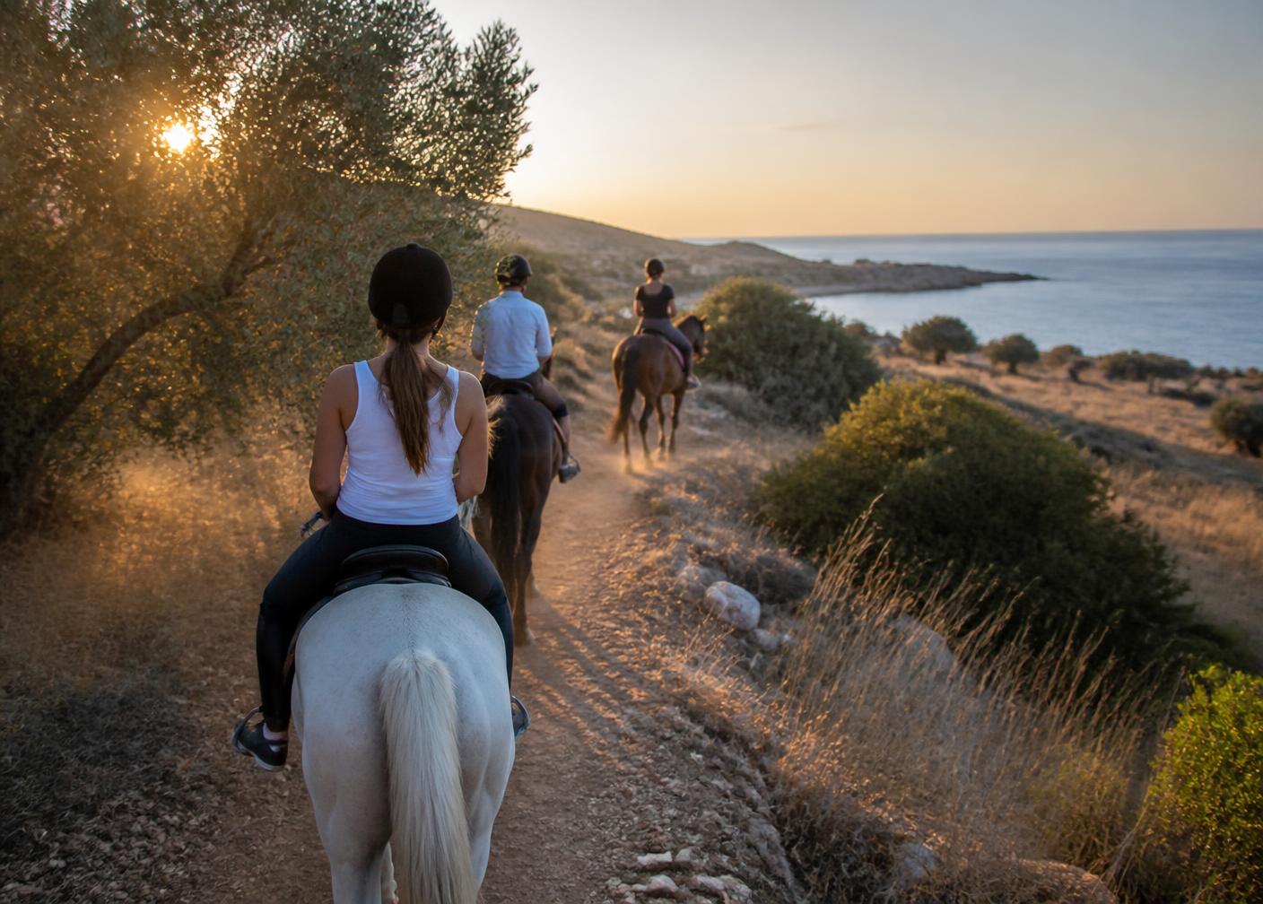 Family horse riding experience in the Cyprus countryside near Paphos